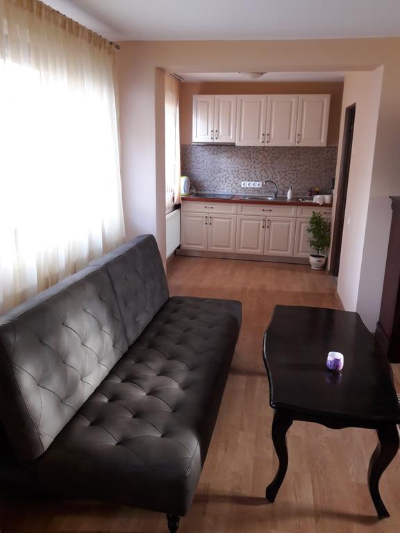 Bogdan'S Apartment Сібіу Екстер'єр фото
