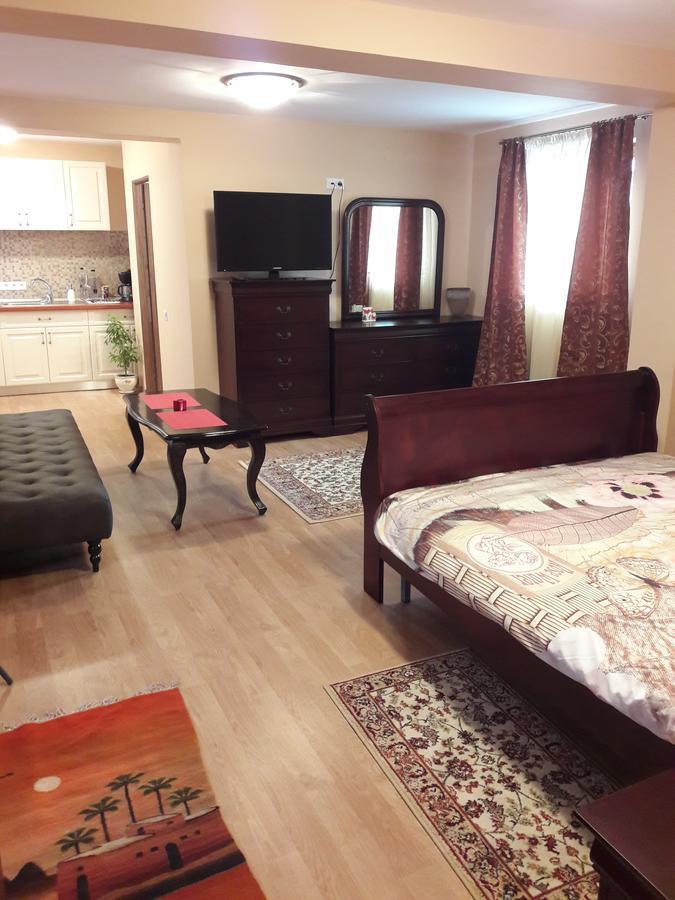 Bogdan'S Apartment Сібіу Екстер'єр фото