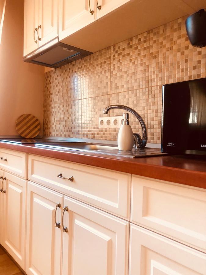 Bogdan'S Apartment Сібіу Екстер'єр фото