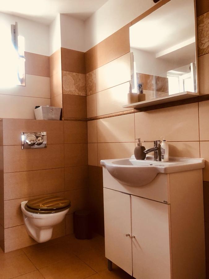 Bogdan'S Apartment Сібіу Екстер'єр фото